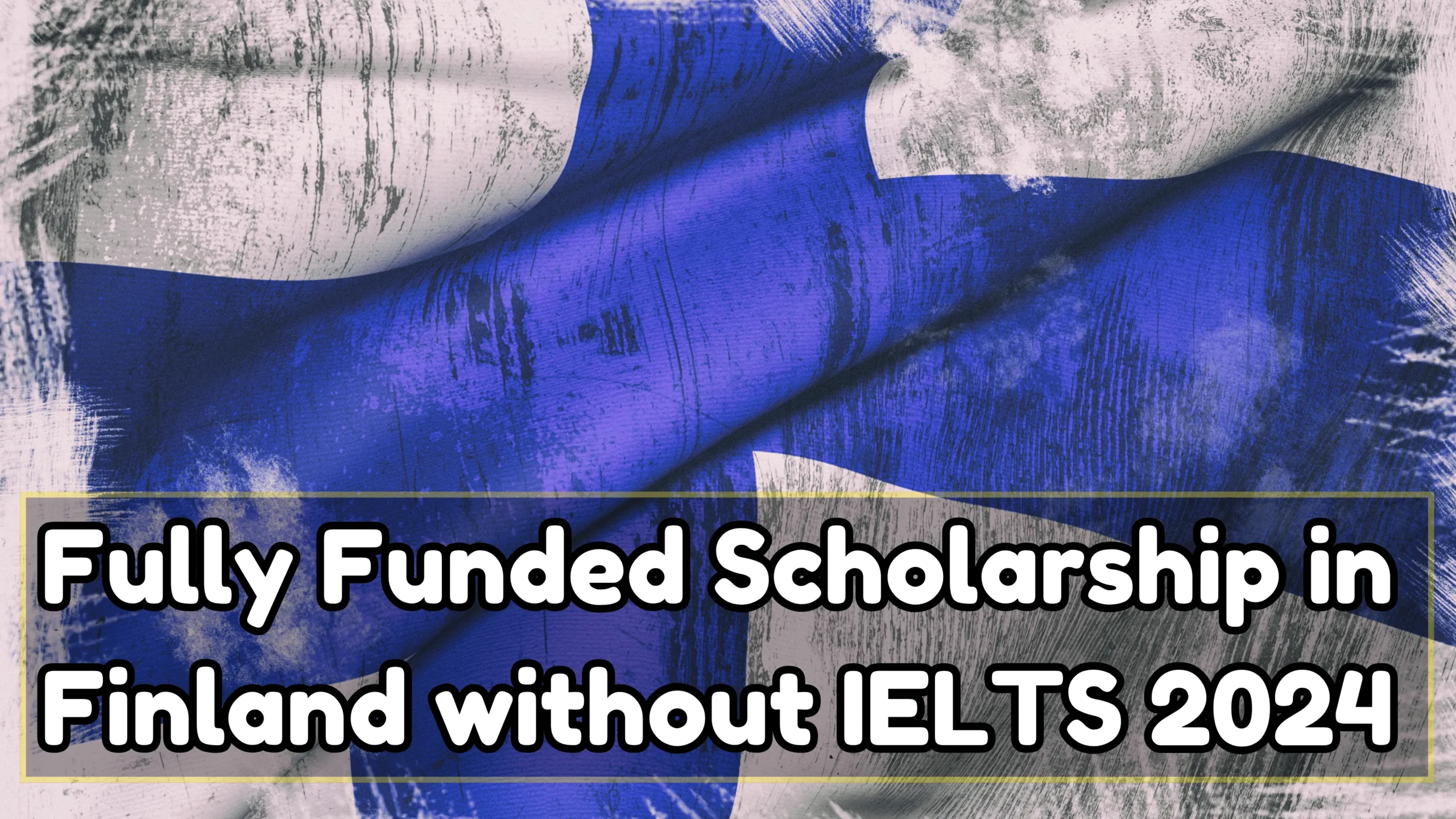 Fully Funded Scholarship in Finland without IELTS 2024 - Study in Finland