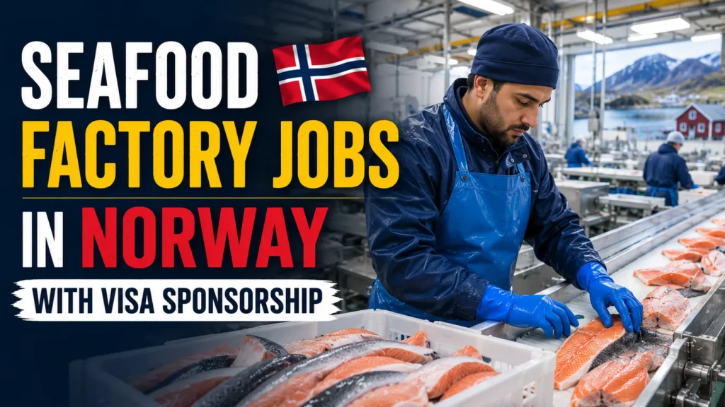 Seafood Factory Jobs in Norway with Visa Sponsorship 2026